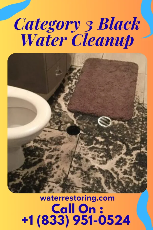 Category 3 Black Water Cleanup in Texhoma, TX